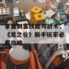 掌握刺客技能与战术，《龙之谷》新手玩家必看攻略