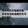 老孙头的幸福春天集：乐享生活的温暖时光与美好回忆