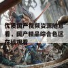 优质国产视频资源随意看，国产精品综合色区在线观看