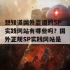 想知道国外靠谱的SP实践网站有哪些吗？国外正规SP实践网站是什么