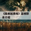 《越来越黑暗》盗贼职业介绍