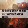 想看潦草影视？这里有无广告的永久VIP破解版！