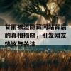 甘雨被盗隐藏网站背后的真相揭晓，引发网友热议与关注