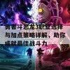 勇者斗恶龙3职业选择与加点策略详解，助你成就最佳战斗力