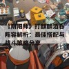 《阴阳师》打麒麟酒吞阵容解析：最佳搭配与战斗策略分享