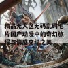 精品无人区无码乱码毛片国产动漫中的奇幻旅程与情感交织之美