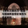 《单机三国志2》吴国与魏国阵容搭配推荐与战术解析