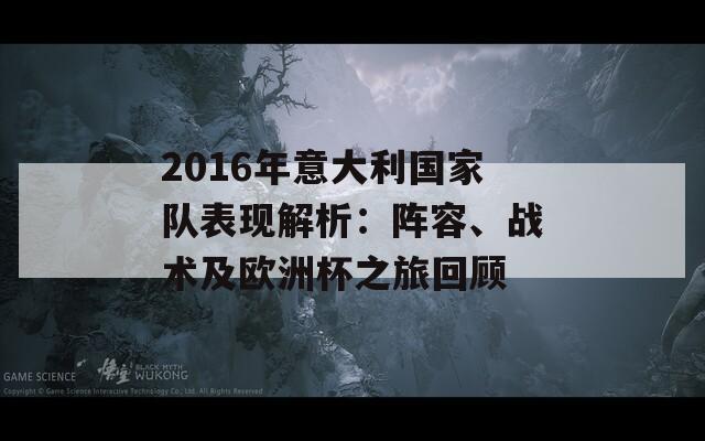 2016年意大利国家队表现解析：阵容、战术及欧洲杯之旅回顾