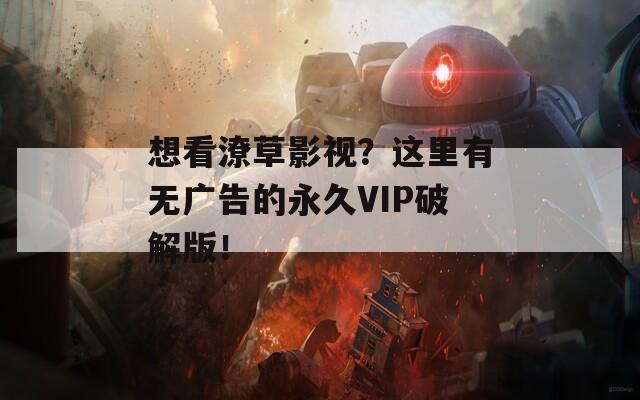 想看潦草影视？这里有无广告的永久VIP破解版！