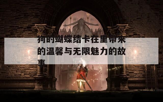 狗的蝴蝶结卡在里带来的温馨与无限魅力的故事